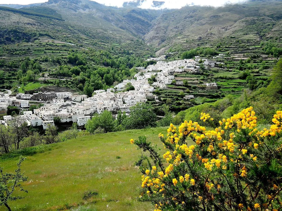 Casa Rosa Apartment Trevelez 0*,